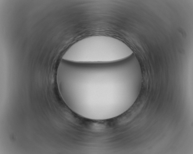 X0000113980232200910020956