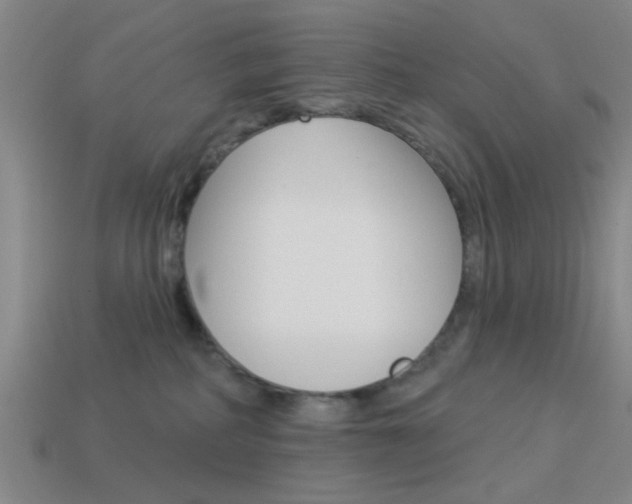 X0000113980234200910020956