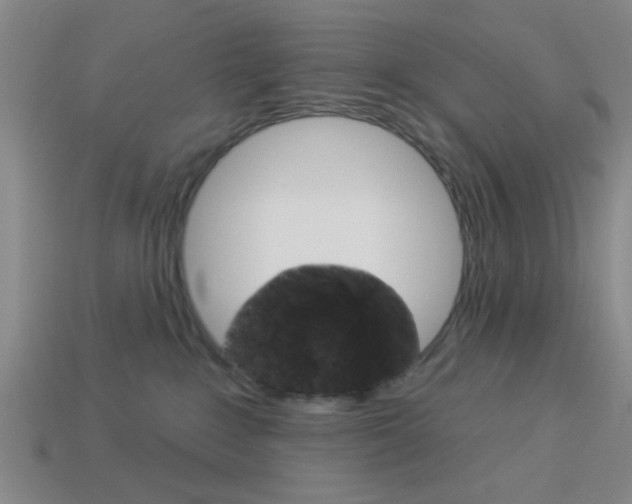X0000113980235200910020956