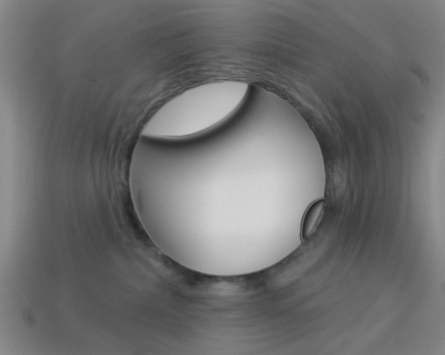 X0000113980236200910020955