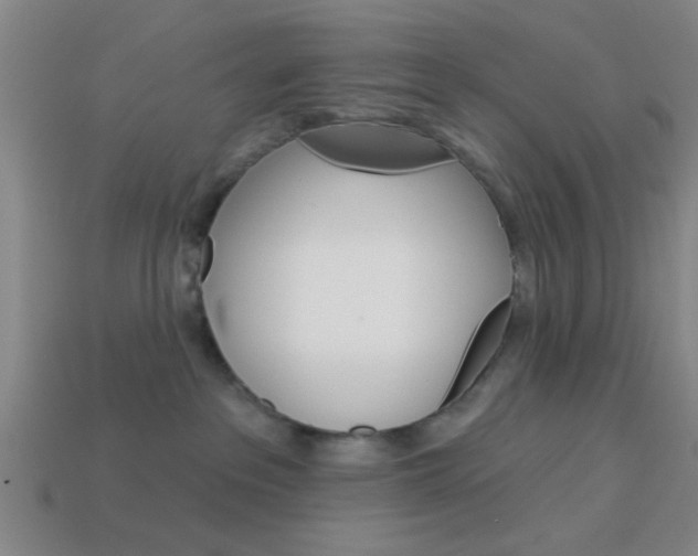 X0000113980237200910020955