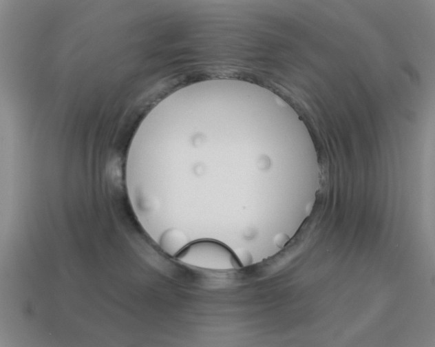 X0000113980238200910020955