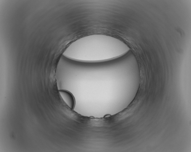 X0000113980240200910020955
