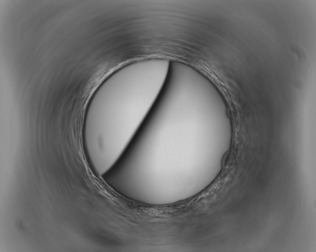 X0000113980241200910020955