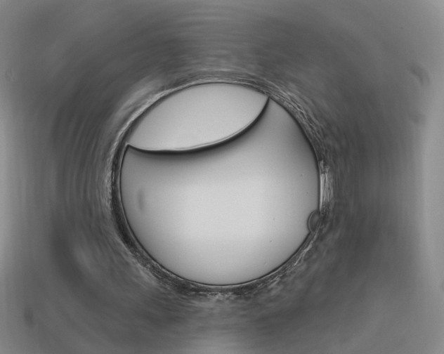 X0000113980243200910020955