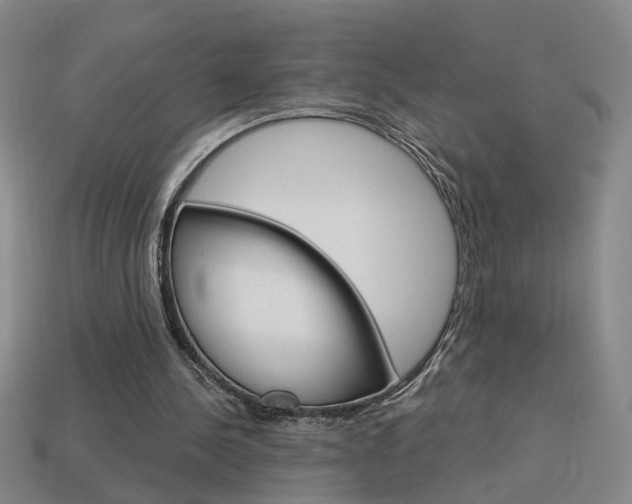 X0000113980244200910020955