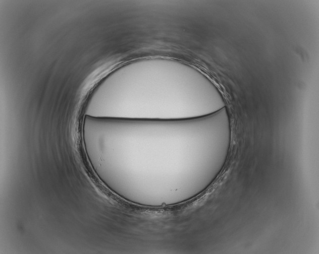 X0000113980245200910020955