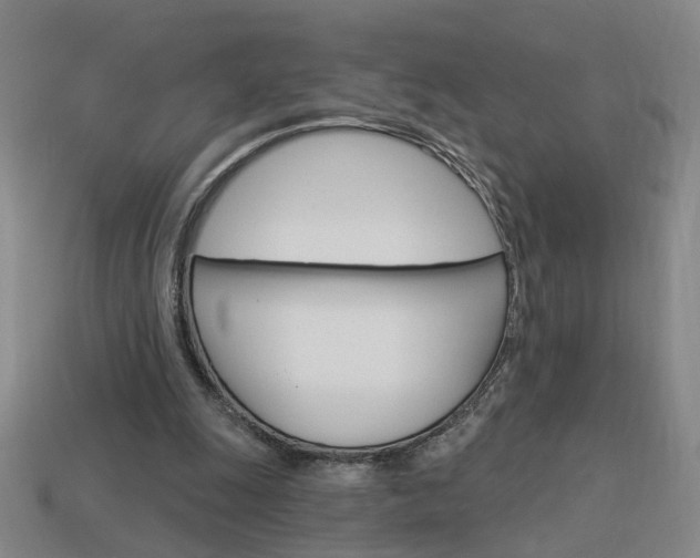 X0000113980247200910020955