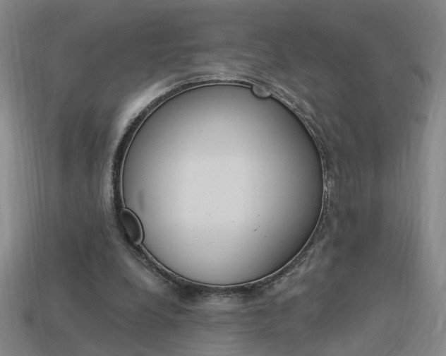 X0000113980248200910020955