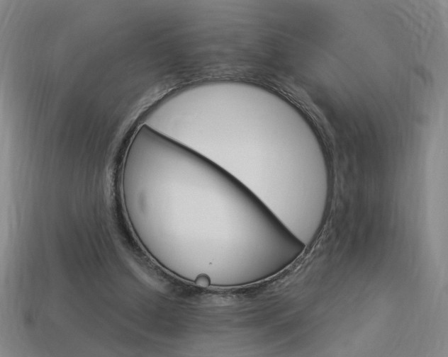 X0000113980250200910020955
