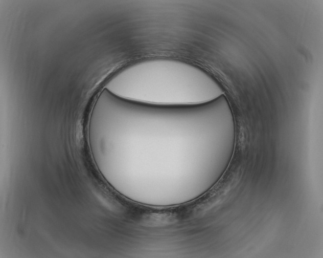 X0000113980251200910020955