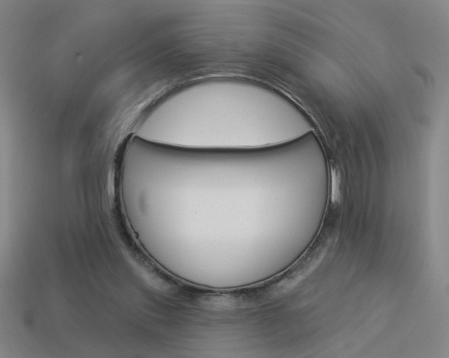 X0000113980253200910020955
