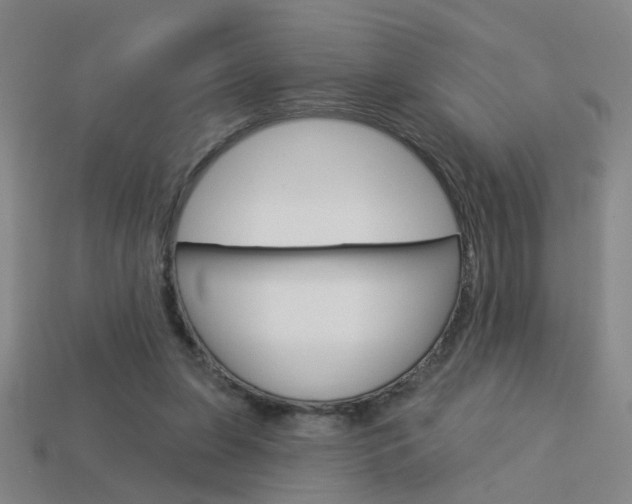 X0000113980255200910020955