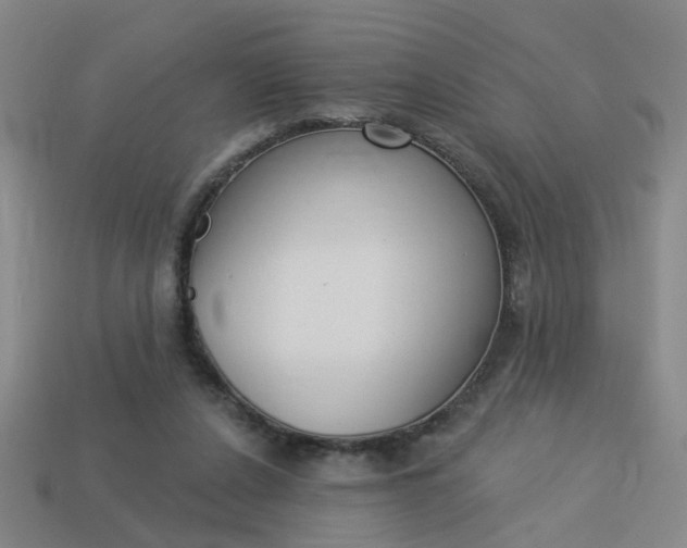 X0000113980256200910020955