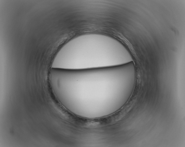 X0000113980257200910020955