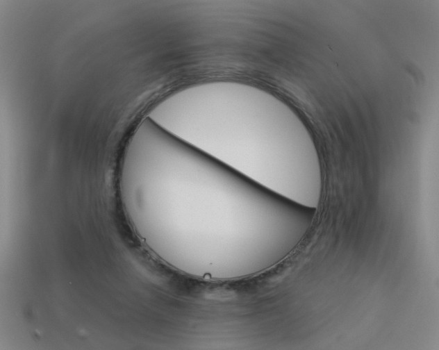 X0000113980258200910020955