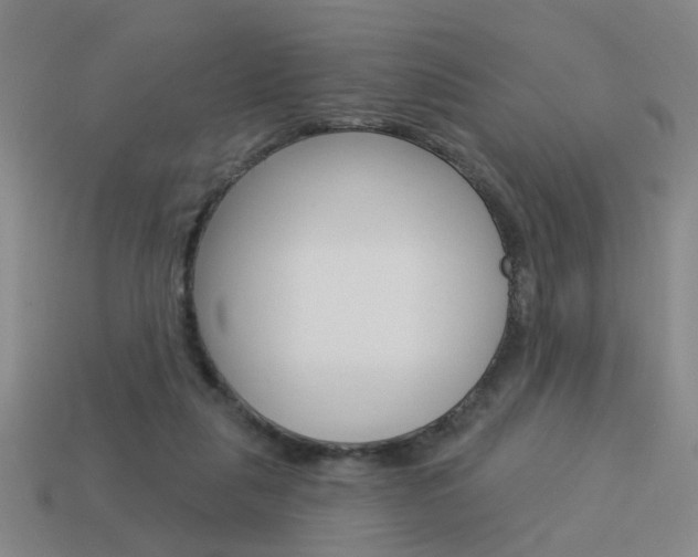 X0000113980259200910020955
