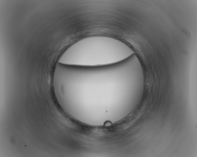 X0000113980261200910020955