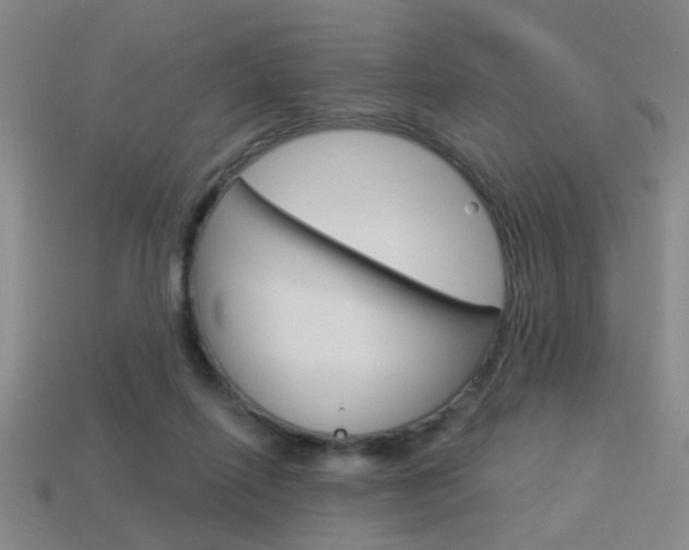 X0000113980262200910020955