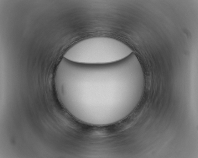 X0000113980263200910020955