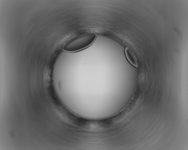 X0000113980264200910020955