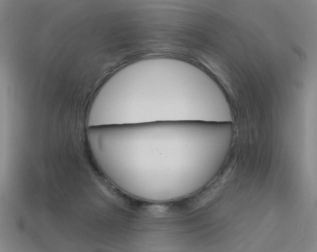 X0000113980265200910020955