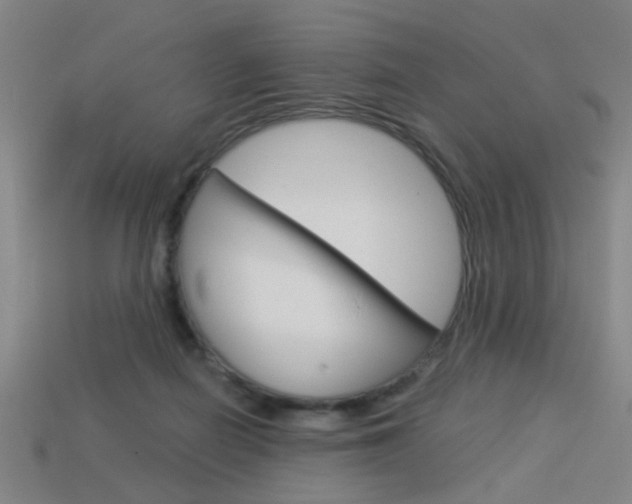 X0000113980266200910020955