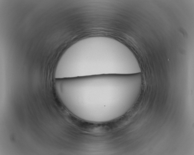 X0000113980267200910020955
