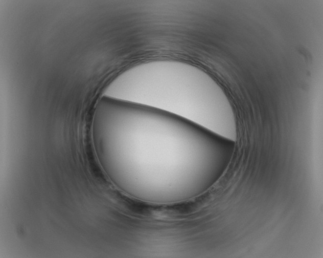 X0000113980268200910020955