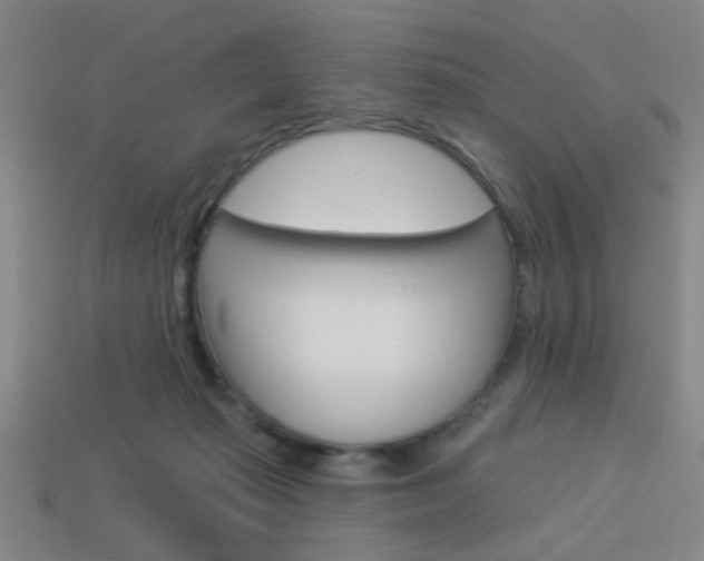 X0000113980269200910020955