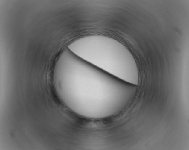 X0000113980270200910020955