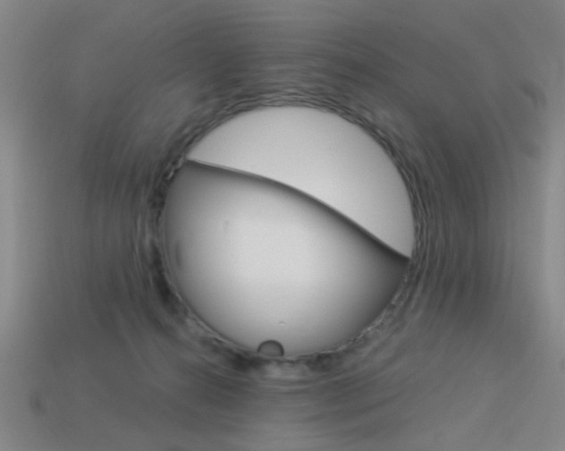 X0000113980272200910020955