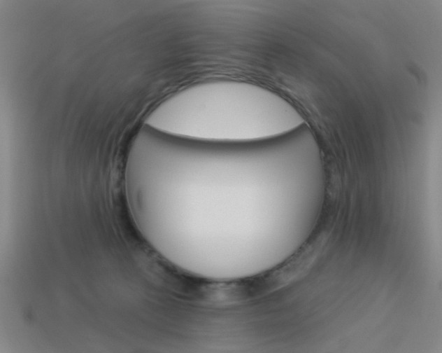 X0000113980273200910020955