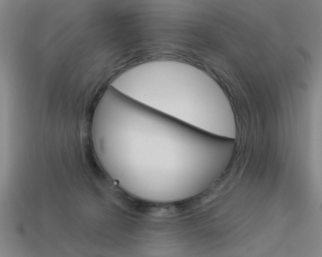 X0000113980274200910020955