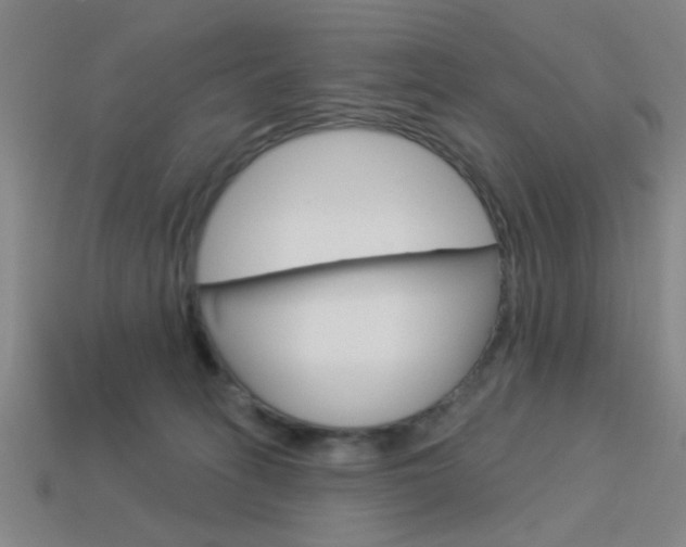 X0000113980275200910020955