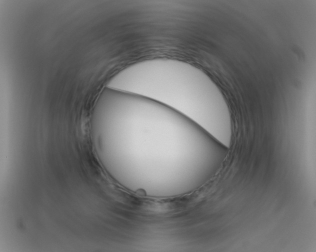 X0000113980276200910020955