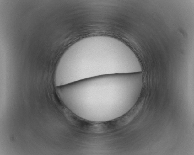 X0000113980277200910020955