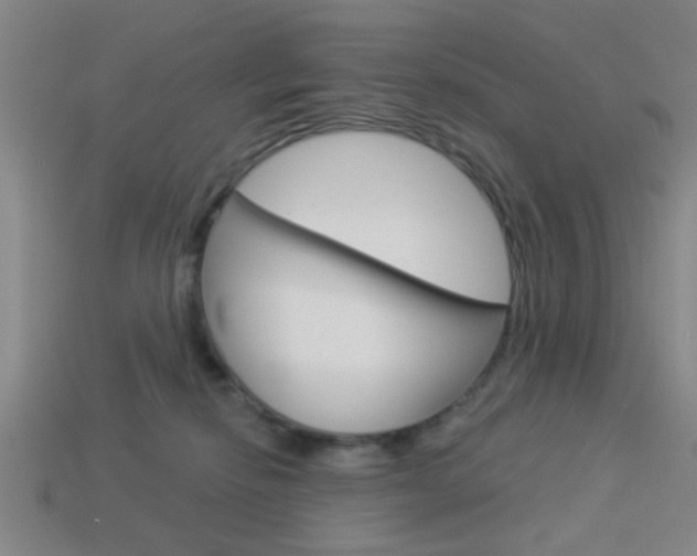 X0000113980278200910020955