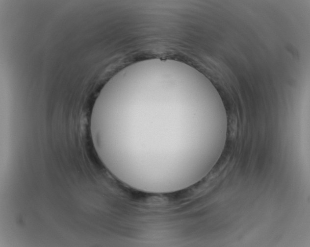 X0000113980279200910020955