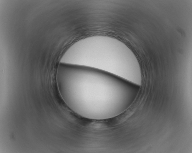 X0000113980280200910020955