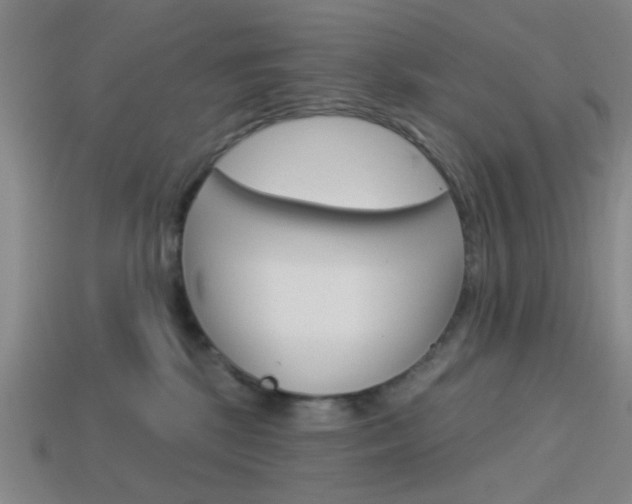 X0000113980281200910020955