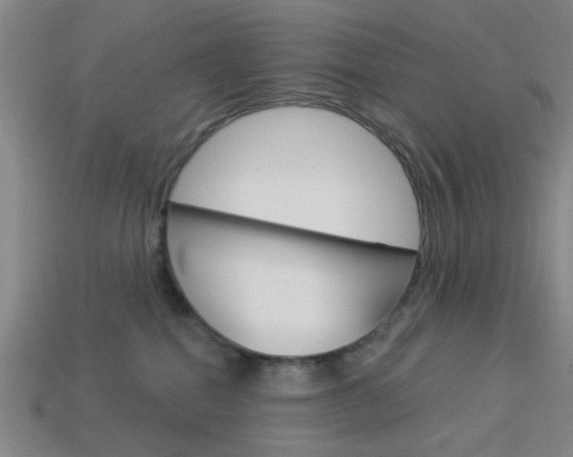 X0000113980282200910020955