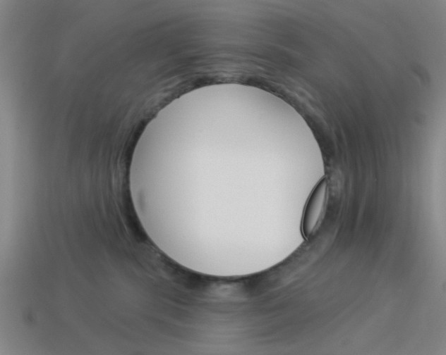 X0000113980283200910020955