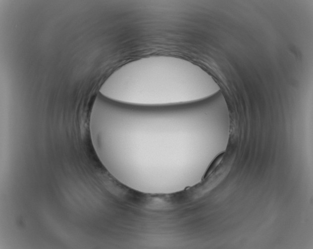X0000113980285200910020955