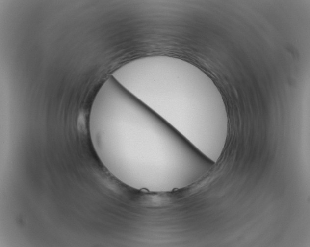 X0000113980286200910020955