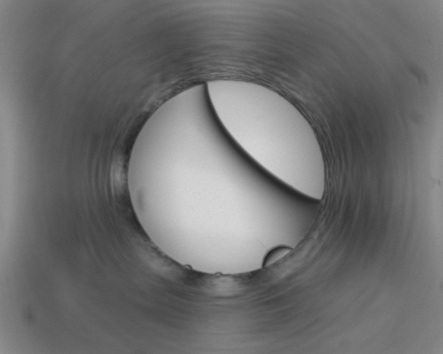X0000113980287200910020955