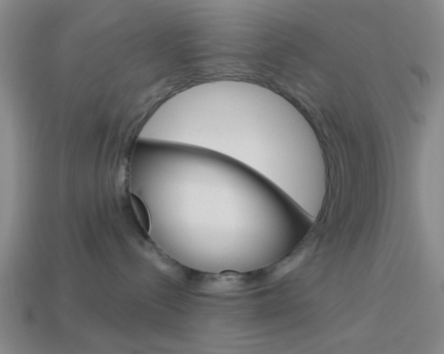 X0000113980288200910020955