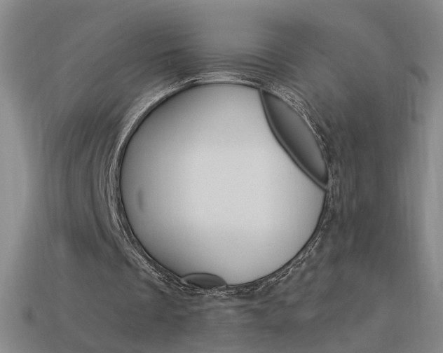 X0000113980289200910020955