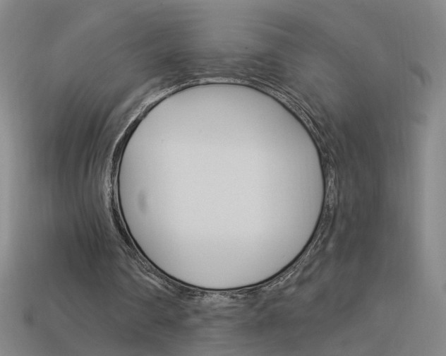 X0000113980290200910020954
