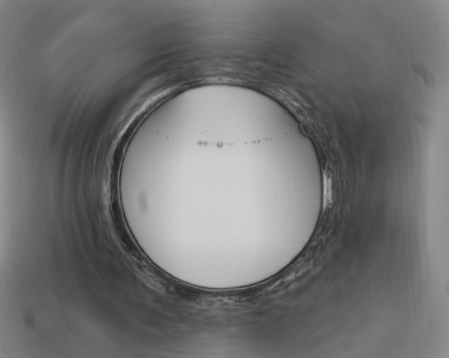 X0000113980291200910020954